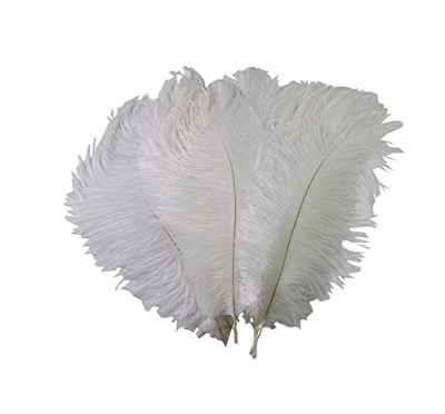 50 piezas de 15 a 20 cm de color blanco natural para decoración del hogar, plumas de avestruz, bricolaje, manualidades, escenario de plumas para artes