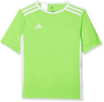 adidas Entrada 18 JSY T-Shirt, Hombre, Solar Green/White, M