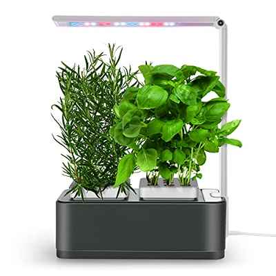 amzWOW Clizia Smart Garden Huerto de Interior, Sistema de Cultivo hidropónico para Cultivar Plantas y Semillas aromaticas - Jardinera de Interior de Hierbas con luz de Crecimiento LED (Space Grey)