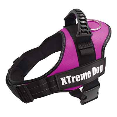 Arquivet Arnés para Perro Xtreme Dog Rosa - Talla: XS/44-57 cm - Ajustable y ergonómico - Dog Harness - Resistente - Ideal para pasear a tu Mascota - Accesorios para Perros