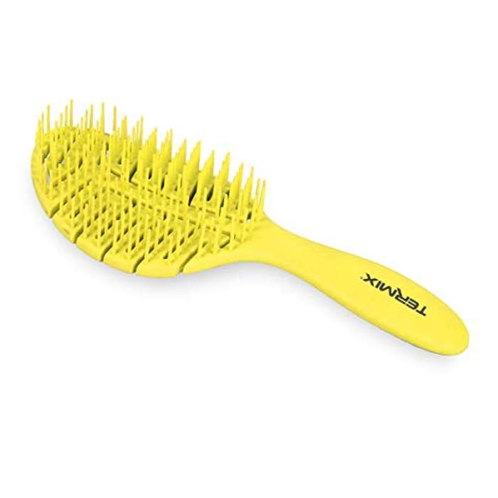 Cepillo de Pelo Termix para Desenredar