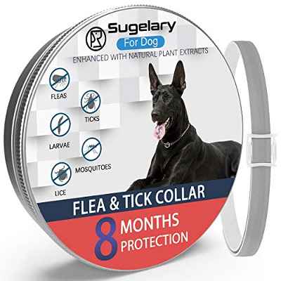 Collar Antiparasitario para Mascotas Perros Plagas Repelentes para Mascotas Agregado con Aceites Naturales, Tamaño Ajustable e Impermeable, Detiene Mordeduras y Picazón (1pcs)