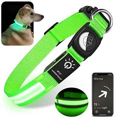 Collar luminoso para perro, Airtag reflectante para perro (no hay aire), recargable por USB, luz LED resistente al agua, para perros pequeños medianos y grandes