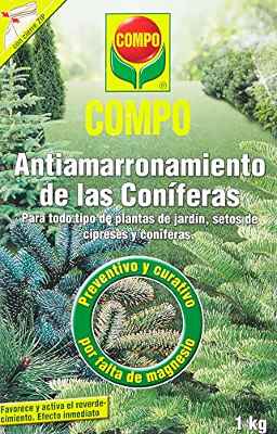 COMPO Antiamarronamiento de coníferas de larga duración, Para todo tipo de coníferas y plantas de hoja perenne, 6 meses de duración, 1 kg