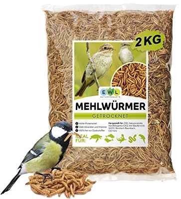 EWL Naturprodukte Gusanos de harina deshidratados, 2 kg, equivalen a 13 l Snack para pájaros, peces, tortugas, roedores y reptiles.