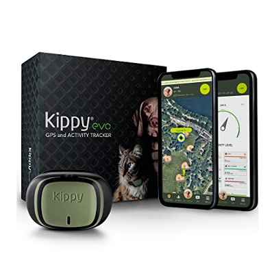 Kippy - Kippy EVO - El Nuevo Collar GPS para Perros y Gatos - Seguimiento de Actividad, 38 gr, Waterproof, Bateria 10 dias, Green Forest