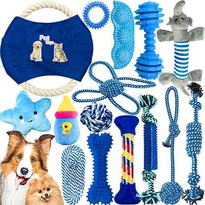 Pack 15 juguetes para perros