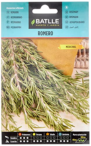 Semillas Romero - Rosmarinus officinalis