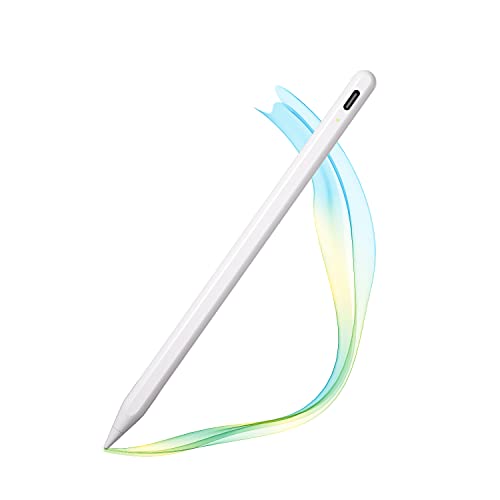 Stylus Pen para iPad