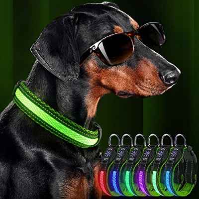 SuplutuX Collar Perro, Collar Luminoso Perro, Acolchado de Malla de Poliéster Suave y Transpirable,Collar Led Luz Perros con USB Recargable ,Ajustable para Perros Medianos Grandes,40-50cm (M, Verde)