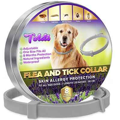 Tratamiento contra Las pulgas en Perros - Collar antiparasitario Perros Regulable - 8 Meses de protección contra pulgas y garrapatas - Collar Perro pequeño, Mediano y Grande - Gris - Toldi