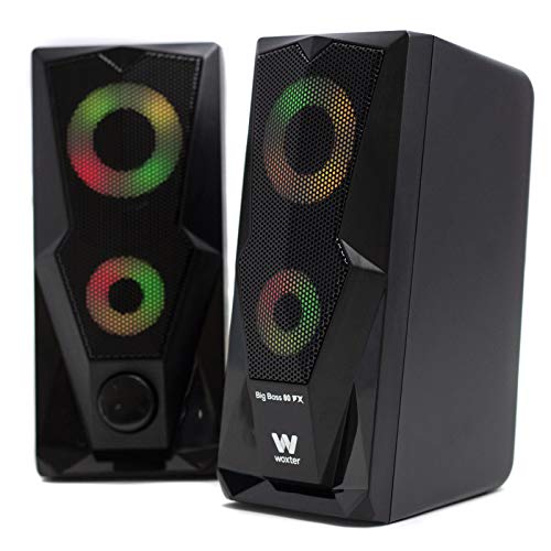 Woxter Big Bass 80 FX